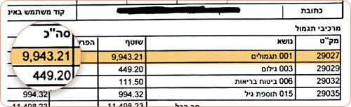 הדגמה של תלוש גמולים